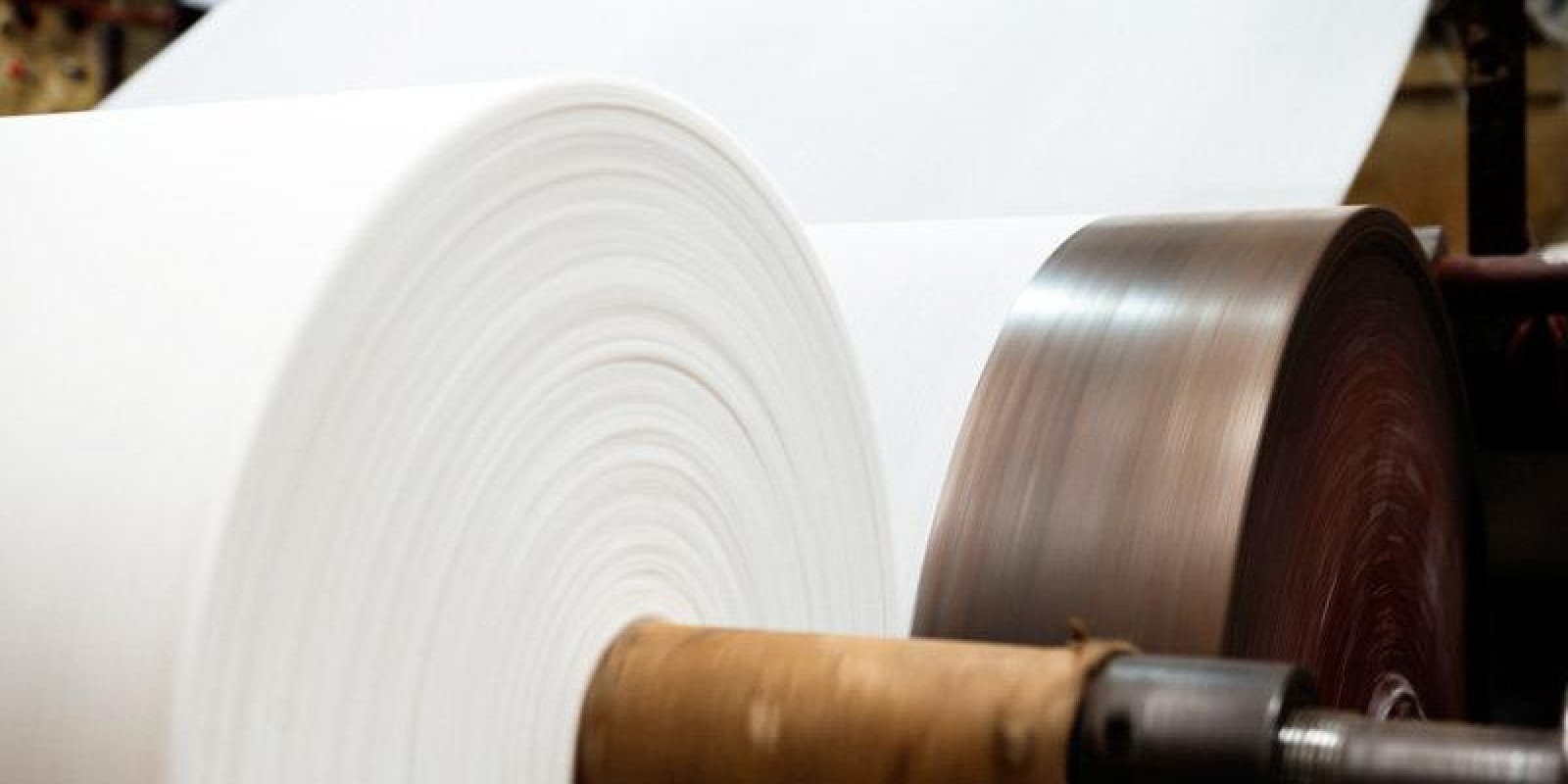 A produção de papel e celulose